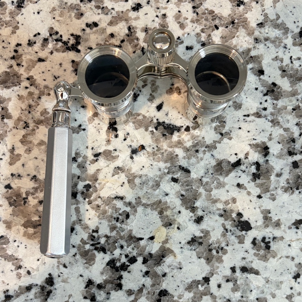 Silver Opera Glasses with extendable Handle